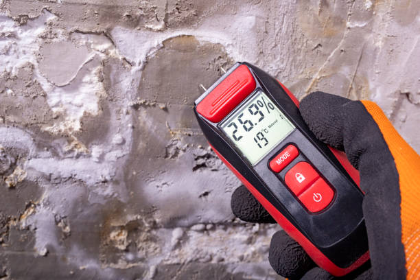 Best Emergency Mold Removal  in Hot Springs, AR