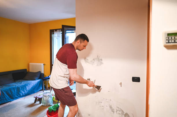 Best Attic Mold Removal  in Hot Springs, AR